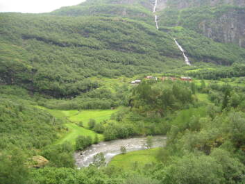 photo 1472815