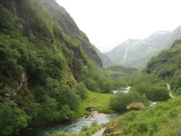 photo 1472818