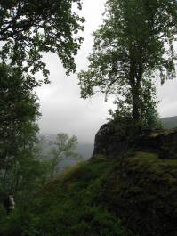 photo 1475075