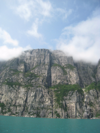 photo 1455517