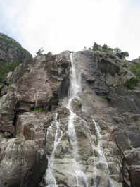 photo 1455519