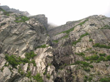 photo 1456075