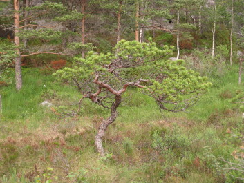 photo 1458929