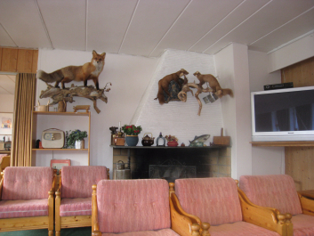 photo 1460732