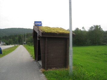photo 1460736