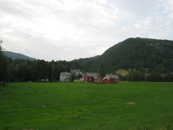 photo 1460737