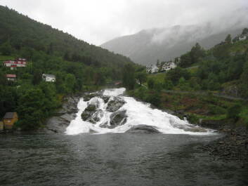 photo 1472763