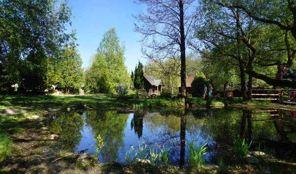DSC00725