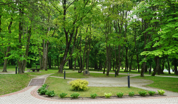 DSC00826