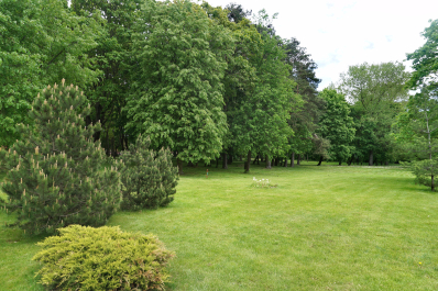 photo 1518427