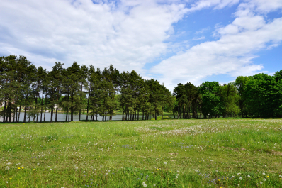 photo 1522609