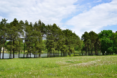 photo 1523735