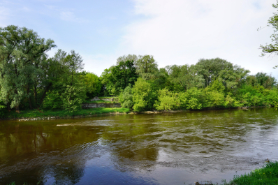 photo 1535595