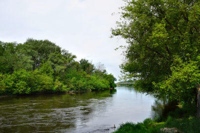 photo 1535991