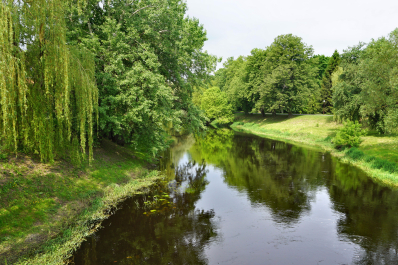 photo 1536467