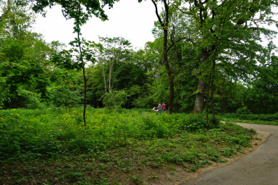 photo 1565830