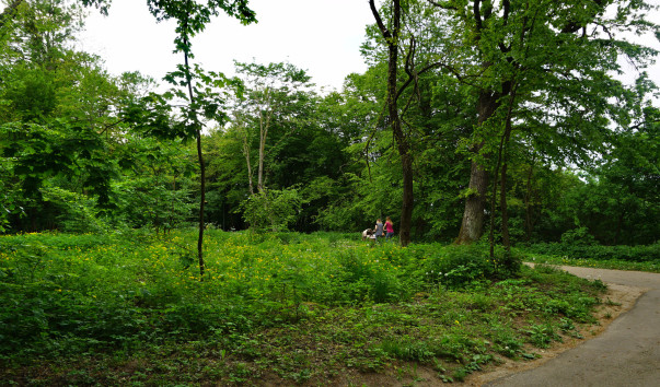 DSC01329