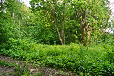 photo 1566142