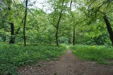 photo 1566143