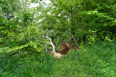 photo 1566144
