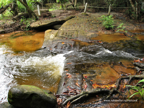 photo 1540016