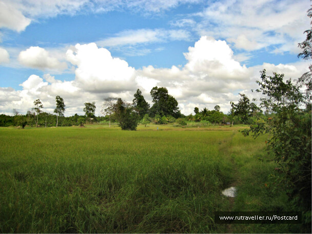 photo 1547822