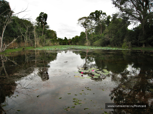 photo 1553561