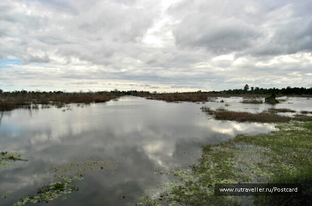 photo 1554177