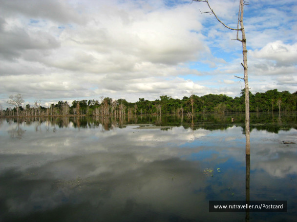 photo 1568441