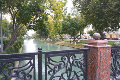 photo 1557366