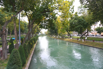 photo 1557367