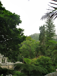 photo 1572195