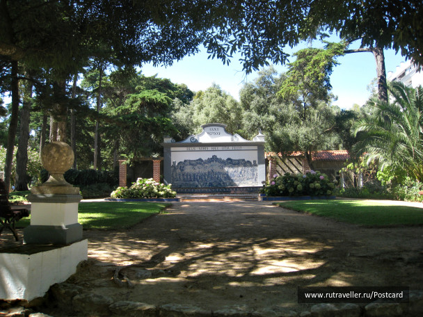 photo 1589195