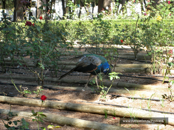 photo 1589633