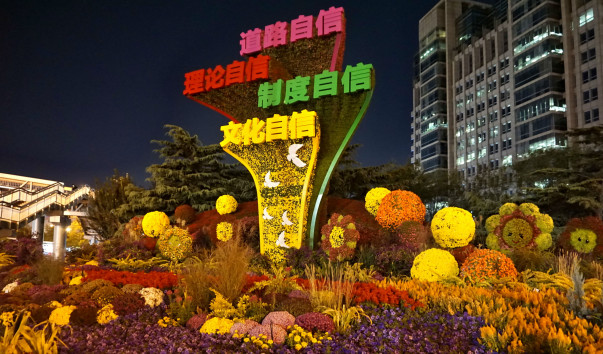 DSC05906