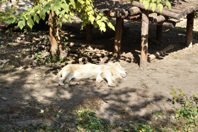 photo 1720204