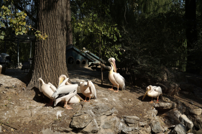 photo 1720357