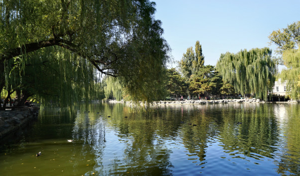 DSC06000