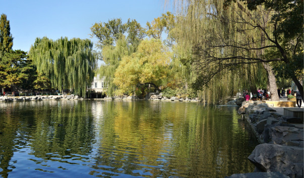 DSC06001