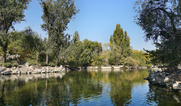 DSC06052