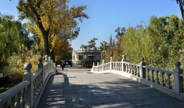 DSC06007