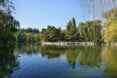 photo 1723847