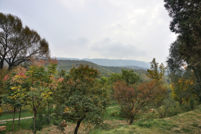 photo 1734303