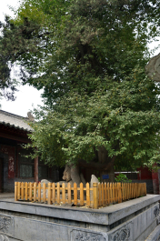 photo 1736616