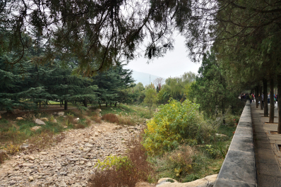 photo 1737644