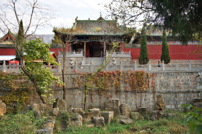photo 1739562