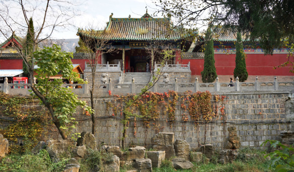 DSC06186