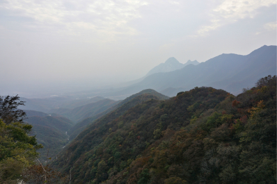 photo 1740091