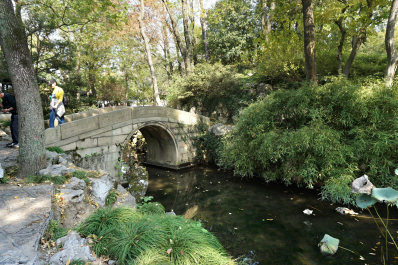 photo 1753529