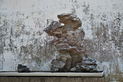 photo 1756641